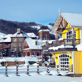 A village in Collingwood.