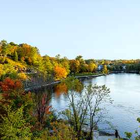 A pond in Bracebridge.