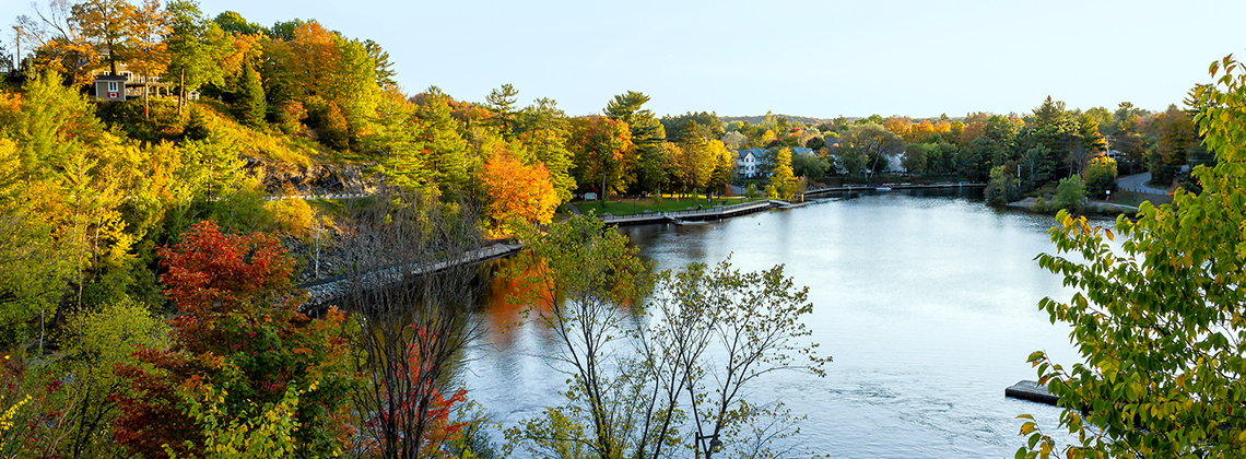 A pond in Bracebridge.