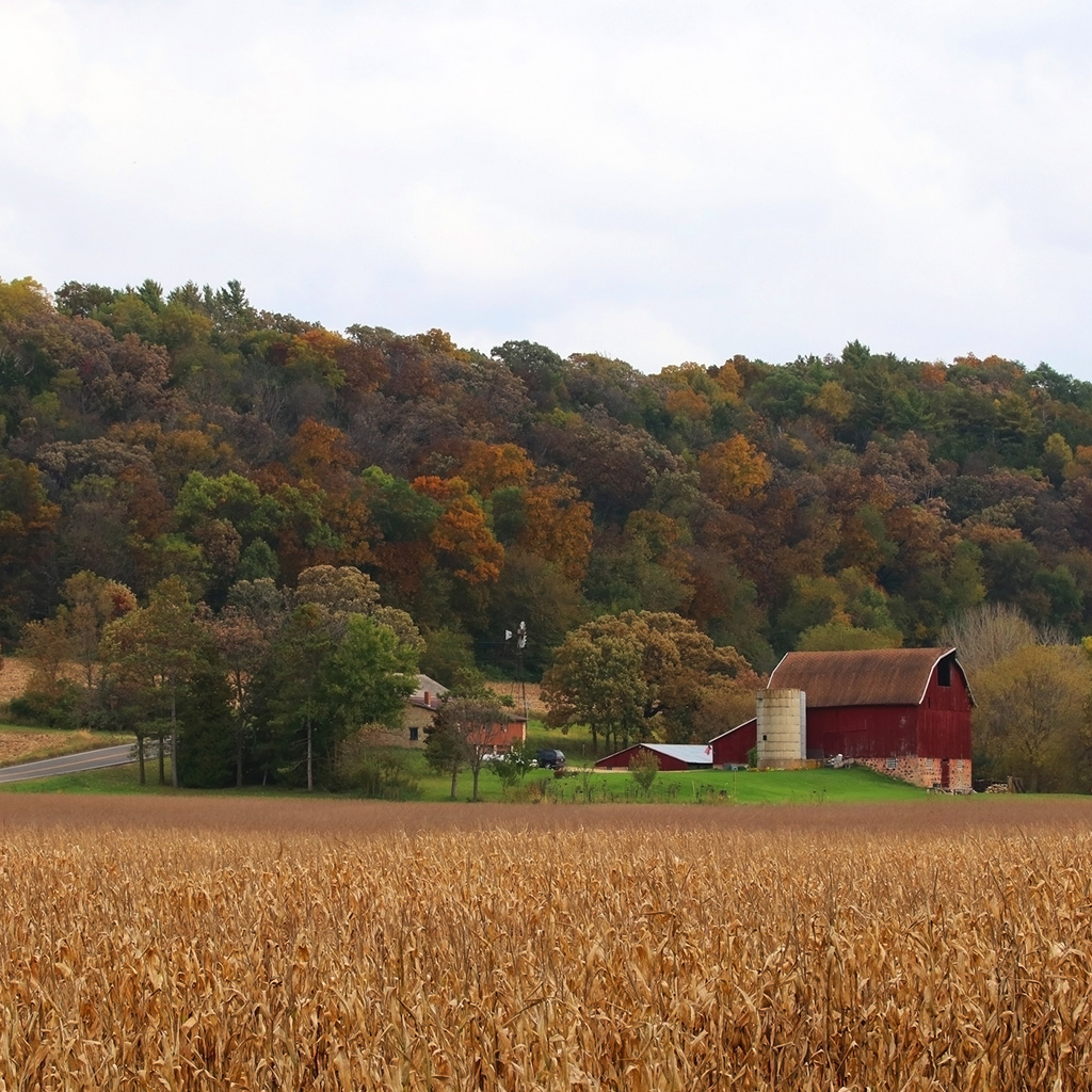 A farm in Oro.