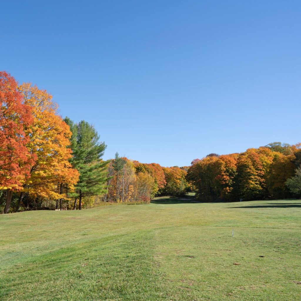 A golf course in Shanty Bay.