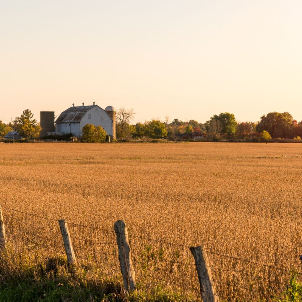 A farm in Elmvale.